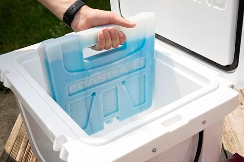 Coastland Freezable Cooler Dividers, Ice Divider Compatible with Coastland Delta Series