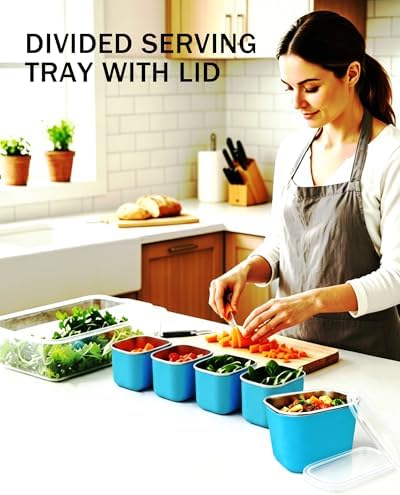 Snackle Box Container, Stainless Steel Divided Serving Tray with Lid and Handle, Large Snack Tray for Fruit Veggie Candy, 8-Compartment Snack Platter for Travel Beach Picnic,with Blue Silicone Sleeve