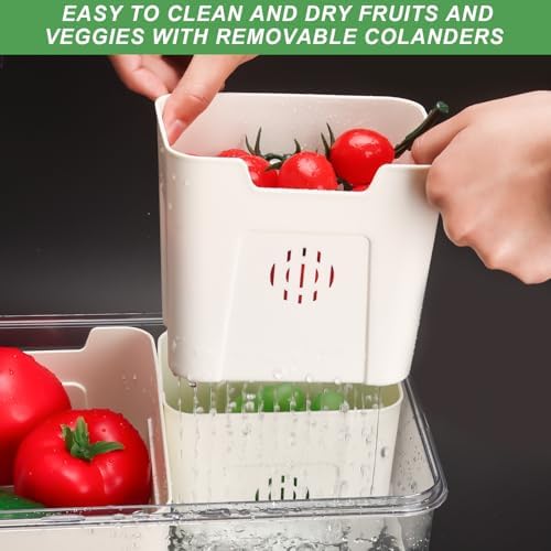 Fruit Storage Containers for Fridge with Lid and Handle, Veggie Tray Bins