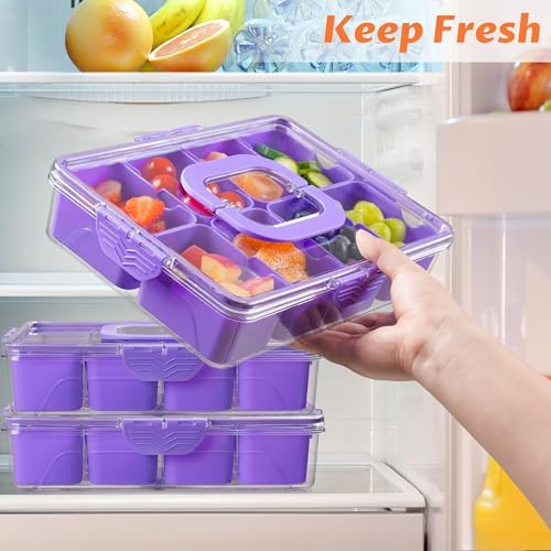 Snackle Box Container Dishwasher Safe Divided Serving Tray with Lid Handle