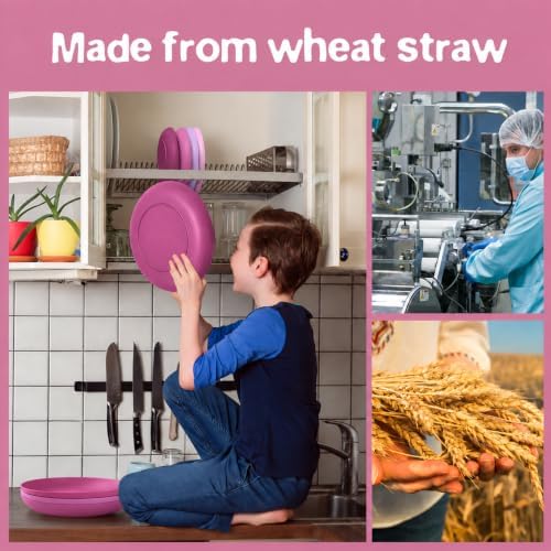 Teivio 32-Piece Plates and Bowls Sets for 8, Purple Ombre Dinnerware Sets