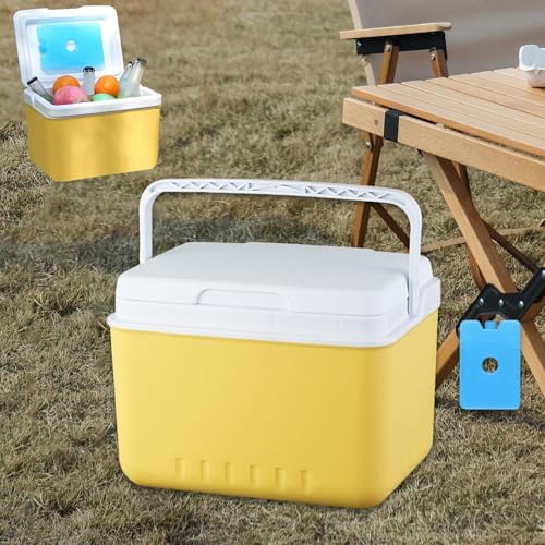 Insulated Cooler Camping Storage Case with Handle Ice Chest Box Organizer for Groceries Travel Picnic Tailgating