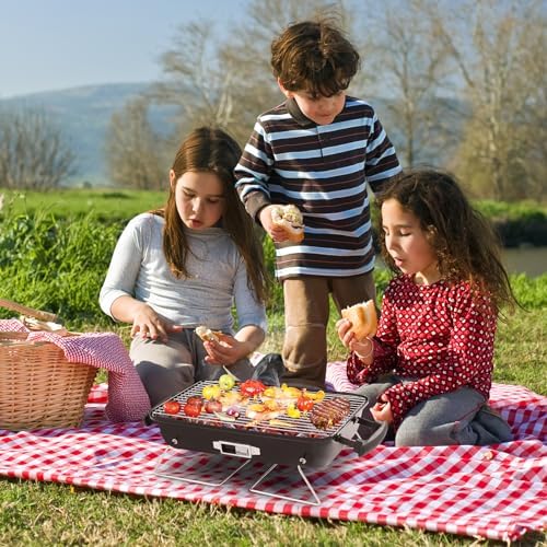 20.8" Portable Enameled Charcoal Grill,Tabletop Outdoor Barbecue Smoker,Heavy Duty Outdoor BBQ Grill,Vertical Camping Barbecue Grill,with Thermometer,for Garden Patio Beach Backyard (Black & Red)