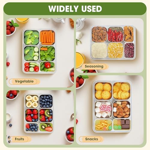 6 Compartment Snackle Box Container 3.82L with Lid & Handle, 4 PCS Stainless Steel Snacklebox and 2 PCS Plastic Box, Detachable & Dishwasher Safe, Divided Box Storage for Snack Fruit Nut