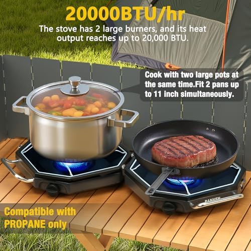 2 Burner Camping Stove, 20,000 BTU Propane Camp Stove with Wiandscreen