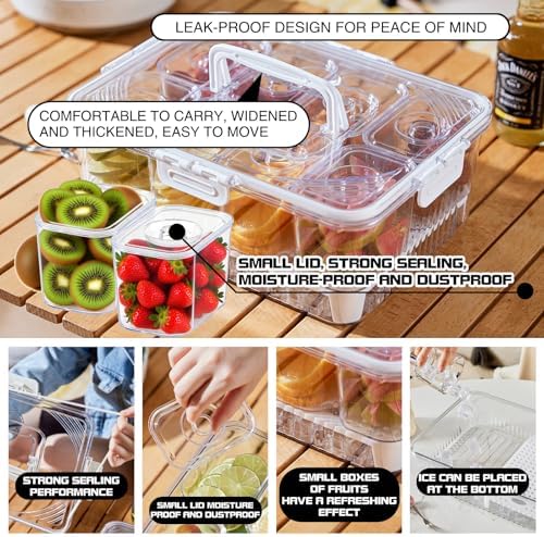 Chilled Snackle Box Container with Ice Tray - 8 Compartment Serving Tray with Lid & Handle, Leak-Proof & Odor-Free Snack Box, Portable Cold Food Platter for Picnic, Party, Travel, Road Trip