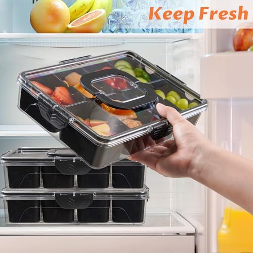 Snackle Box Container Dishwasher Safe Divided Serving Tray with Lid Handle