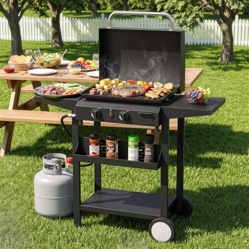 2 Burner BBQ Gas Griddle, 25.6 Inch, Black