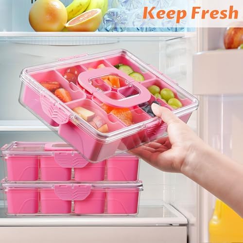 Snackle Box Container Dishwasher Safe Divided Serving Tray with Lid Handle