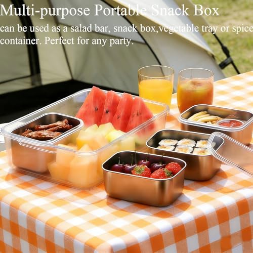 Snackle Box Container, Stainless Steel Divided Serving Tray with Lid and Handle,Large Snack Tray for Fruit Veggie, 4-Compartment Snack Platter for Travel Party Beach Picnic,with Ice Pack(Silver White)