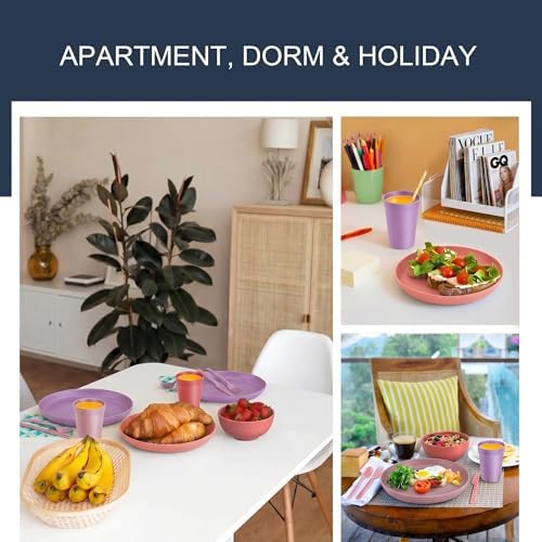 42 Piece Dinnerware Set for 6, Unbreakable Plates and Bowls Set