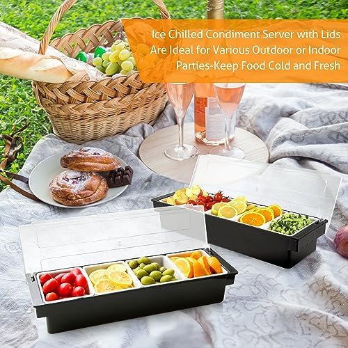 WICHEMI Ice Chilled Condiment Caddy with 4 Removable Trays and Lids