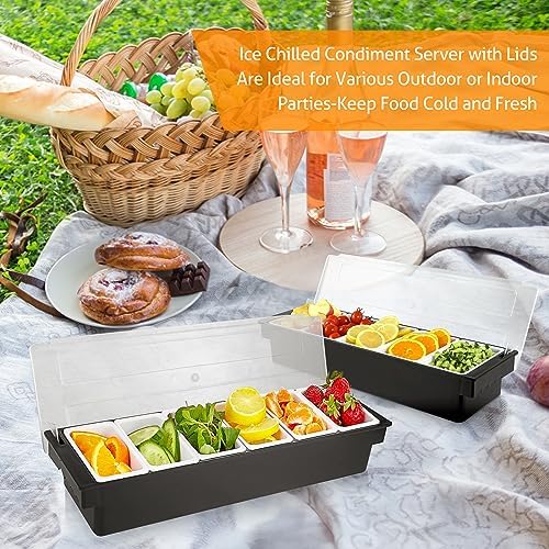WICHEMI Ice Chilled Condiment Caddy with 6 Removable Trays and Lid, 2 Pack