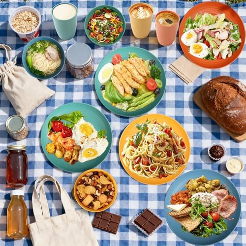 Wheat Straw Dinnerware Sets, 20 PCS Service for 4, Dishwasher & Microwave Safe Kids Plates and Bowls Sets, Unbreakable Lightweight Outdoor Camping Dishes - Multicolor