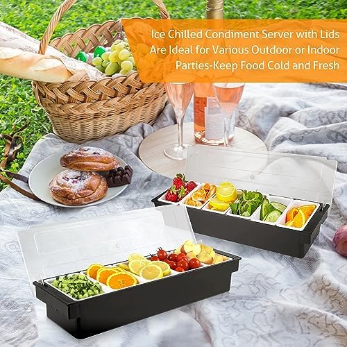 WICHEMI Ice Chilled Condiment Caddy with 5 Removable Trays and Lids