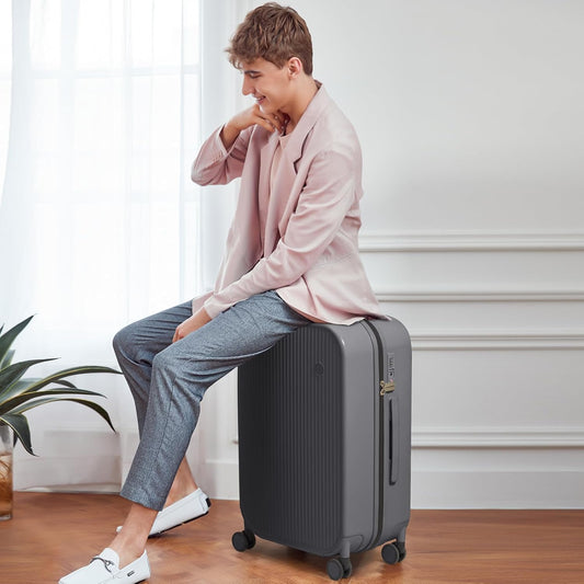 mixi 26 Inch Large Checked Luggage PC Hardshell Suitcases with Wheels for Travel Woman Men, Rock Gray