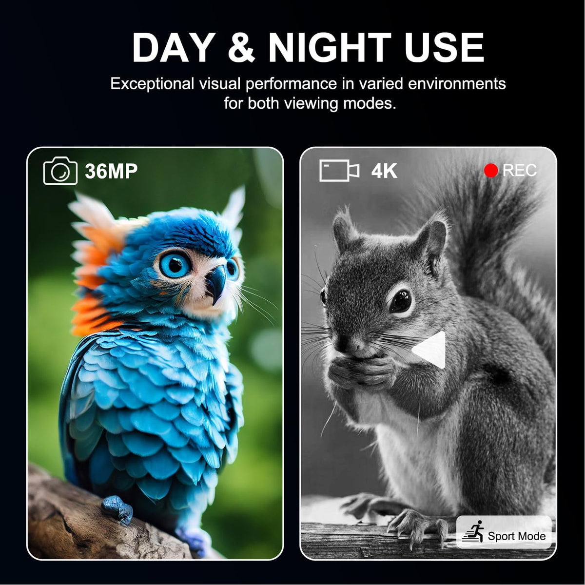Night Vision Goggles, True 4K Full-Color Night Vision Binoculars, Built-in Powerful Focusable IR, 6000mAh Rechargeable Battery, Super Large Display, Long Viewing Range, Free 64GB Card (Silver)