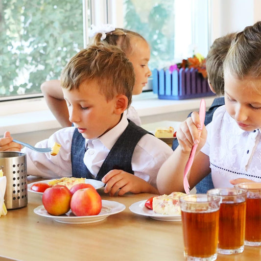 Reusable Travel Utensils Set with Case, Pink Wheat Straw Portable Knife Fork Spoons Tableware, Eco-Friendly BPA Free Cutlery for Kids and Adults as Travel Picnic Camping Utensils