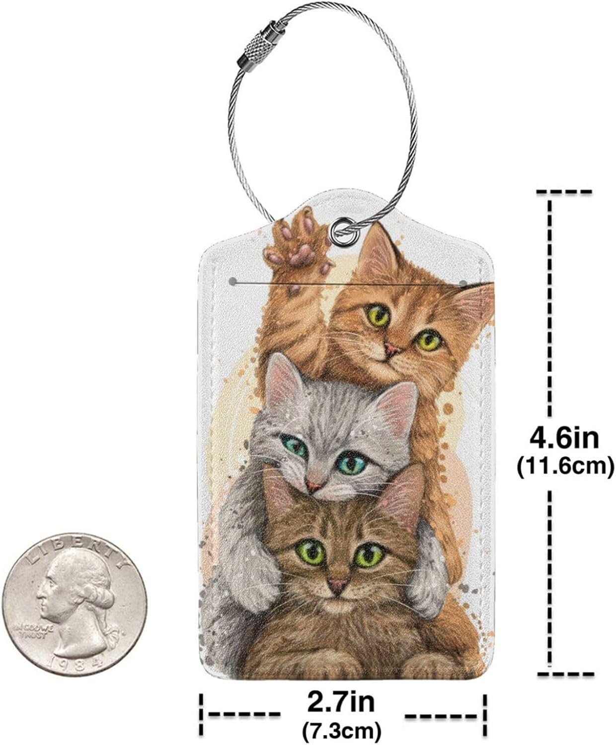 2 Pack Luggage Tags for suitcases Cute Funny cat Luggage Tag, Leather Stainless Steel Loop Label Tag for Men Women Travel Bag Suitcase(2 cat)