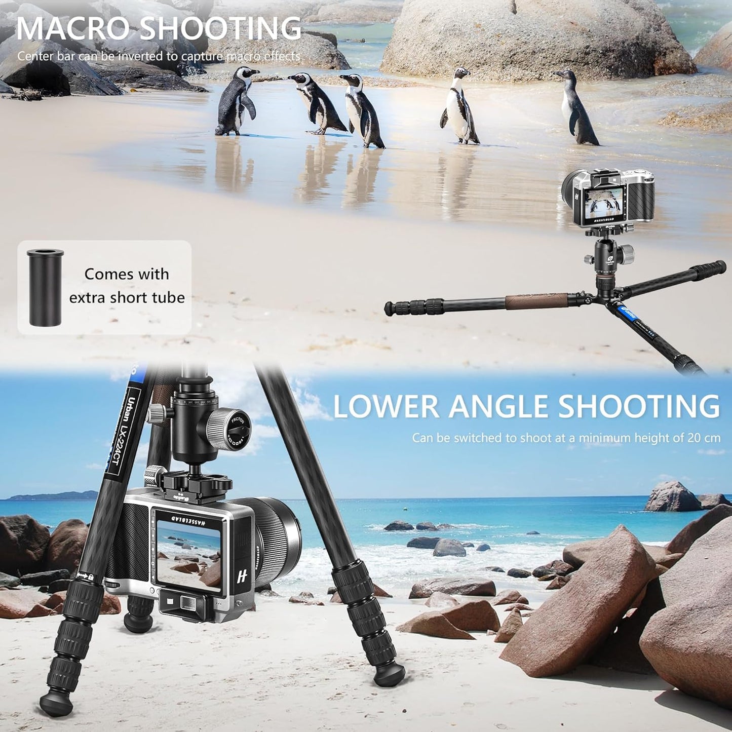 Carbon Fiber Lightweight Travel Tripod with 360° Ball Head, Removable Center Column, Folded Height 37cm, Weight 1.12kg, Maximum Load 8KG(LX-224CT+XB-32Q)