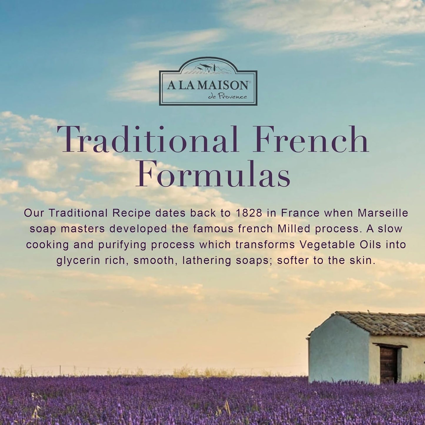 A LA MAISON de Provence Lavender Aloe Liquid Hand and Body Soap (Pack of 2) With Argan Oil, Olive Oil and Vitamin E, 16.9 fl oz Each