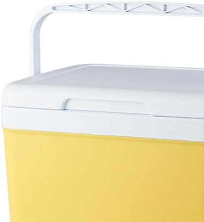 Insulated Cooler Camping Storage Case with Handle Ice Chest Box Organizer for Groceries Travel Picnic Tailgating