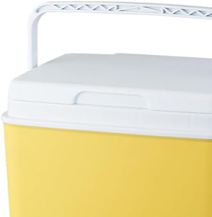 Insulated Cooler Camping Storage Case with Handle Ice Chest Box Organizer for Groceries Travel Picnic Tailgating