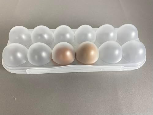 ZeQi 12Grid Shatterproof Transparent Egg Container, Food Grade PP Reusable Egg Holder for Fridge, Kitchen Storage, Camping & Outdoor Use