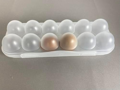 ZeQi 12Grid Shatterproof Transparent Egg Container, Food Grade PP Reusable Egg Holder for Fridge, Kitchen Storage, Camping & Outdoor Use