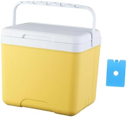Insulated Cooler Camping Storage Case with Handle Ice Chest Box Organizer for Groceries Travel Picnic Tailgating
