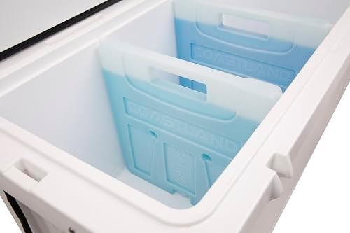 Coastland Freezable Cooler Dividers, Ice Divider Compatible with Coastland Delta Series