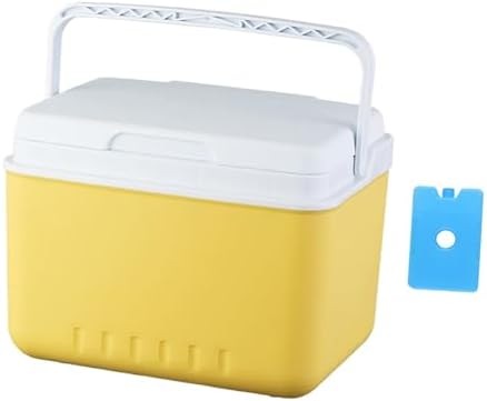 Insulated Cooler Camping Storage Case with Handle Ice Chest Box Organizer for Groceries Travel Picnic Tailgating