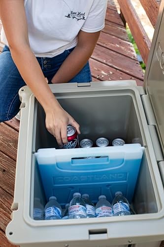 Coastland Freezable Cooler Dividers, Ice Divider Compatible with Coastland Delta Series