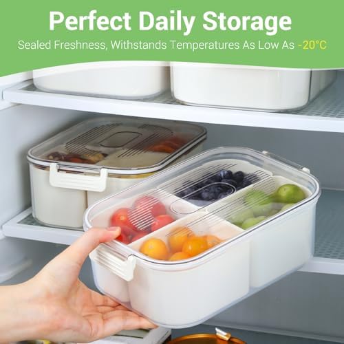 LUXEAR Small Snack Box Container 2 Pack, Dishwasher Safe&Freezer Safe