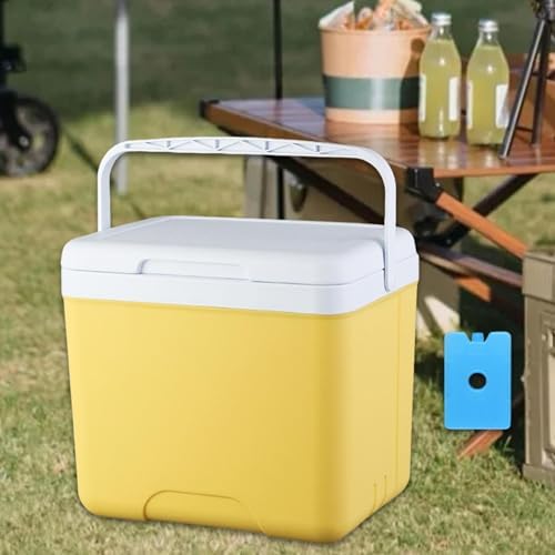 Insulated Cooler Camping Storage Case with Handle Ice Chest Box Organizer for Groceries Travel Picnic Tailgating