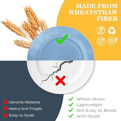 40 PCS Wheat Straw Dinnerware Sets for 8, Dish Sets for 8(Colorful)