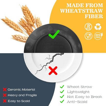 40 PCS Plate and Bowl Set, Wheat Straw Dinnerware Sets for 8(Black)