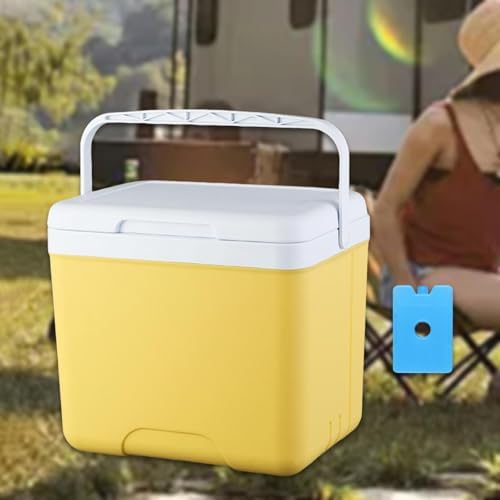 Insulated Cooler Camping Storage Case with Handle Ice Chest Box Organizer for Groceries Travel Picnic Tailgating