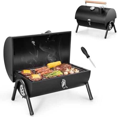 HaSteeL Portable Charcoal Grill for Outdoor Barbecue, Small for 1-3 People