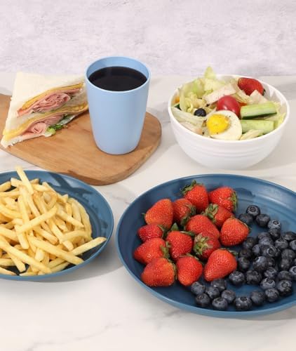 Quatish 16 Piece Plates and Bowl Set for 4, Dinnerware Dish Set for Kitchen