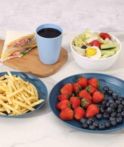 Quatish 16 Piece Plates and Bowl Set for 4, Dinnerware Dish Set for Kitchen