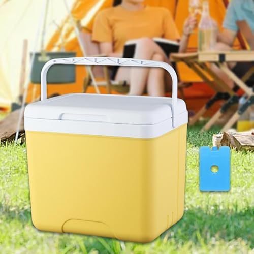 Insulated Cooler Camping Storage Case with Handle Ice Chest Box Organizer for Groceries Travel Picnic Tailgating