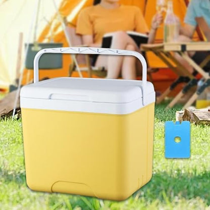 Insulated Cooler Camping Storage Case with Handle Ice Chest Box Organizer for Groceries Travel Picnic Tailgating