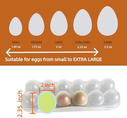 ZeQi 12Grid Shatterproof Transparent Egg Container, Food Grade PP Reusable Egg Holder for Fridge, Kitchen Storage, Camping & Outdoor Use