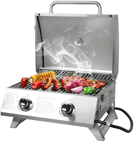 2-Burner Small Tabletop Gas Grill, 20,000 BTU Stainless Steel Grill