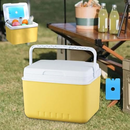 Insulated Cooler Camping Storage Case with Handle Ice Chest Box Organizer for Groceries Travel Picnic Tailgating