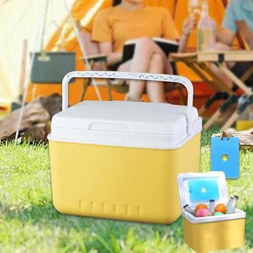 Insulated Cooler Camping Storage Case with Handle Ice Chest Box Organizer for Groceries Travel Picnic Tailgating