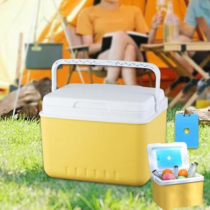 Insulated Cooler Camping Storage Case with Handle Ice Chest Box Organizer for Groceries Travel Picnic Tailgating
