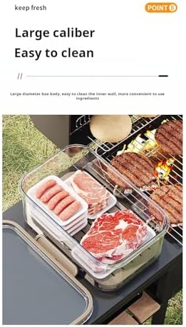 Portable Food Storage Container with Handle, Large Capacity Leakproof Lunch Box with Drain Tray, Clear Airtight Organizer for Fruits, Picnic, Camping & Refrigerator Storage