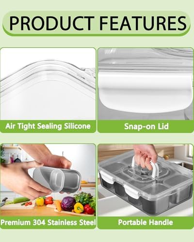 Snackle Box Container, Stainless Steel Divided Serving Tray with Lid and Handle,Large Snack Tray for Fruit Veggie, 8-Compartment Snack Platter for Travel Party Beach Picnic,with Ice Pack(Silver White)